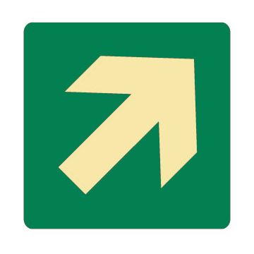 Exit And Evacuation Signs  - Diagonal Arrow Symbol - SetonGlo