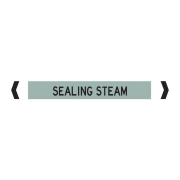 Standard Pipe Marker, Self Adhesive, Sealing Steam, 40-75mm O.D. - Pack of 10 